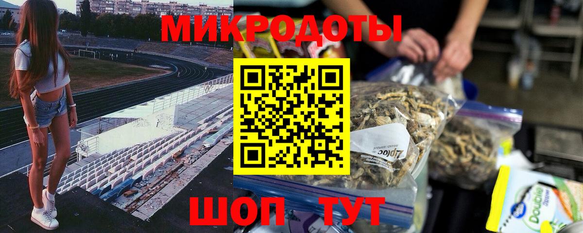 Галлюциногенные грибы Psilocybine cubensis Тихвин